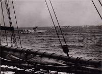 Apparecchi alla fonda, mareggiata, Shoal Harbour, luglio/agosto 1933.